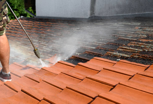 Best Commercial Pressure Washing  in Lake Shore, MN
