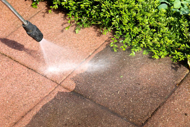 Best Exterior Home Cleaning  in Lake Shore, MN